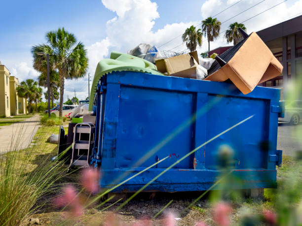 Best Office Junk Removal  in Deville, AL